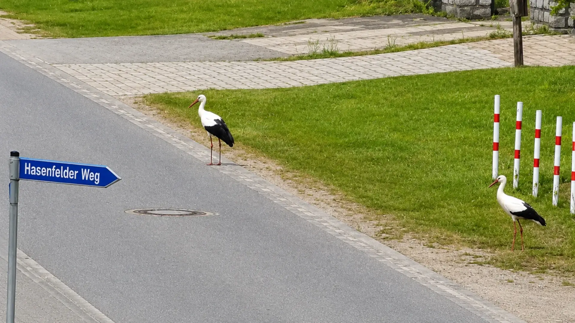 Hasenfelder Weg in Steinhöfel-Heinersdorf – Lage des Hauses
